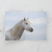 馬のグリーティングカード – Young Camargue 走 Stallion  カード (内部)