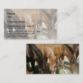 馬のグループ 名刺 (正面/裏面)