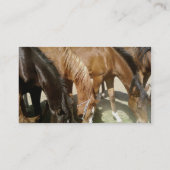 馬のグループ 名刺 (裏面)