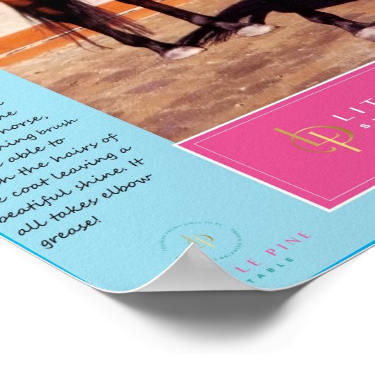 馬のグルーミングツールとその使用方法 ポスター (角)