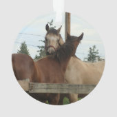 馬のグルーミング オーナメント (裏面)