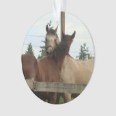 馬のグルーミング オーナメント (正面)