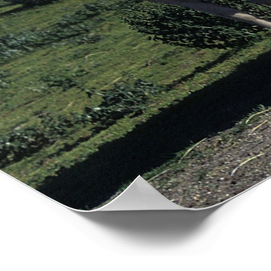 馬のグル絵を描ープ ポスター (角)