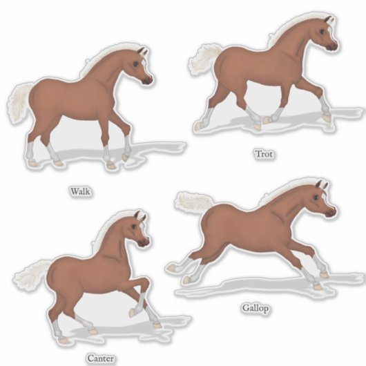 馬のゲイトSorrel Foal馬 シール (正面)