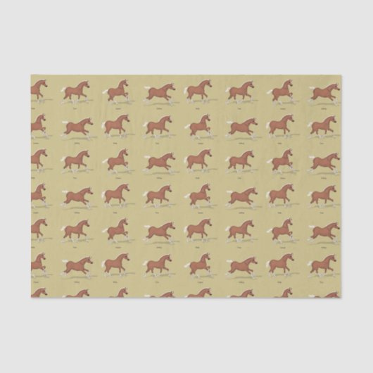 馬のゲットウォークトートカントガロップサレル 薄葉紙 (正面)