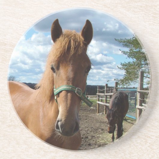 馬のコースター コースター (正面)