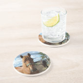 馬のコースター コースター (側面)