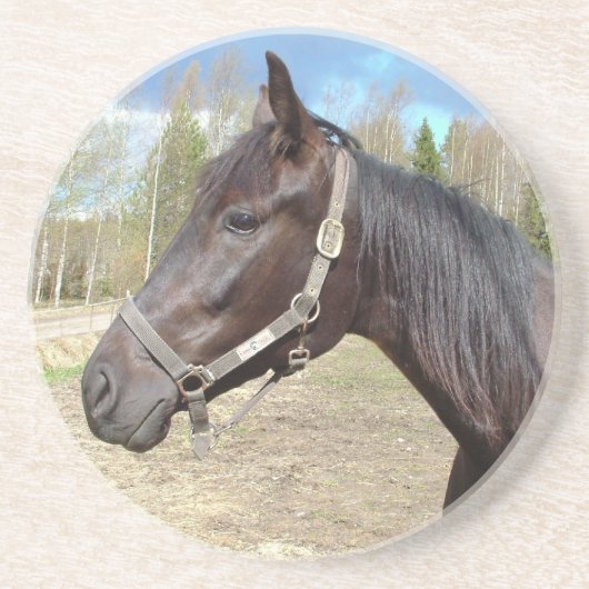 馬のコースター コースター (正面)