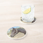 馬のコースター コースター (側面)