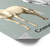 馬のコート色 ポスター (角)