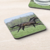 馬のサラブレッド、Wassl 1988年、 コースター (左側)