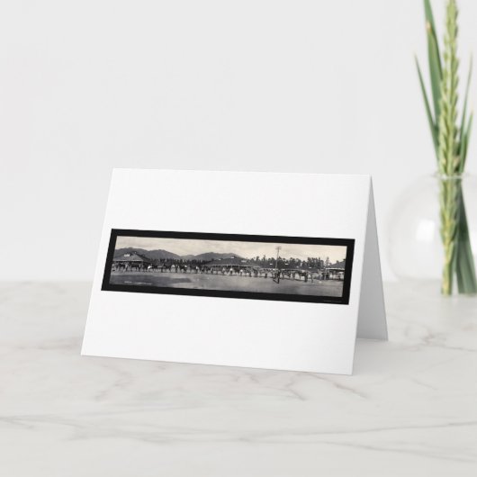 馬のサンタアニタの写真1908年 シーズンカード (正面)