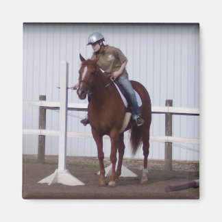 馬のショー中にエミリー マグネット