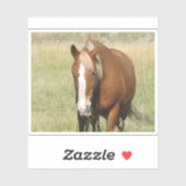 馬のシール シール (シート)