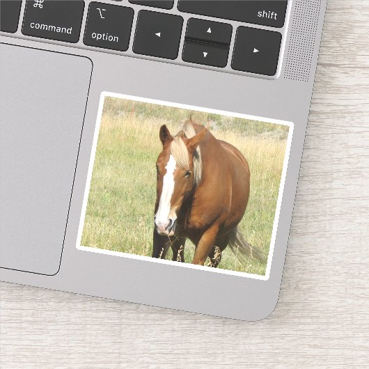 馬のシール シール (詳細)