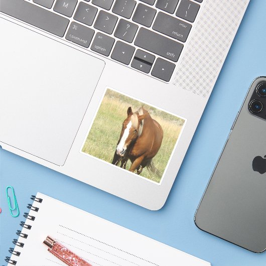 馬のシール シール (ノートパソコンとiPhone)
