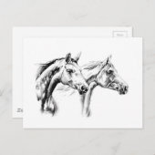 馬のスケッチスケッチアート手作り ポストカード (正面/裏面)