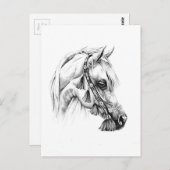 馬のスケッチスケッチアート手作り ポストカード (正面/裏面)