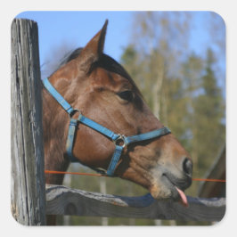 馬のステッカー スクエアシール