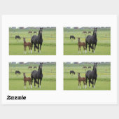 馬のステッカー 長方形シール (シート)