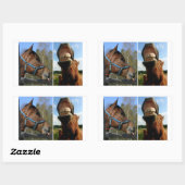 馬のステッカー 長方形シール (シート)