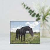 馬のストレッチ ポストカード (スタンド正面)