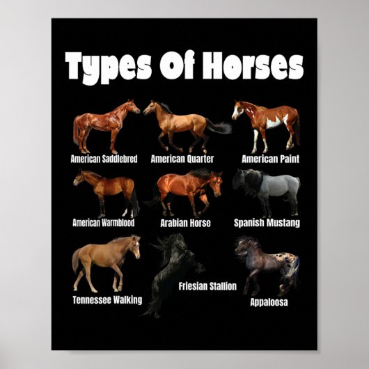 馬のタイプレトロ馬の繁殖ヴィンテージ ポスター (正面)