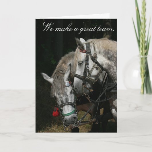 馬のチーム「チームを素晴らし作る」 カード (正面)