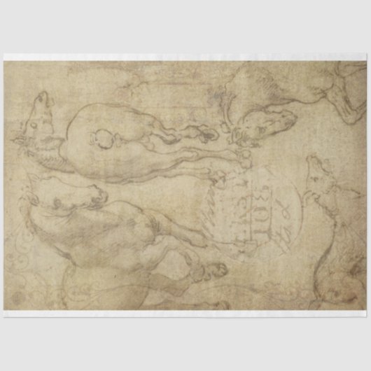 馬のデコペ勉強の紙 薄葉紙 (正面)