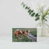 馬のトリオの名刺 名刺 (スタンド正面)