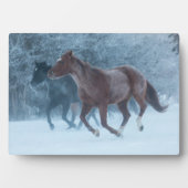 馬のドライブ フォトプラーク (正面)