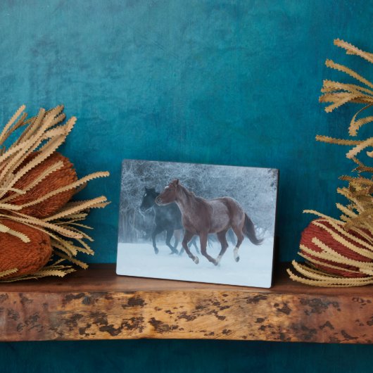 馬のドライブ フォトプラーク (側面)