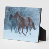 馬のドライブ フォトプラーク (側面)