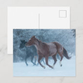 馬のドライブ ポストカード (正面/裏面)
