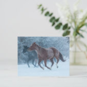 馬のドライブ ポストカード (スタンド正面)