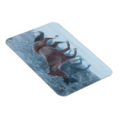 馬のドライブ マグネット (右側)