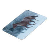 馬のドライブ マグネット (左側)