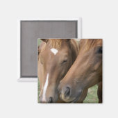 馬のナズル角磁石 マグネット (正面/裏面)