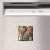 馬のナズル角磁石 マグネット (インサイチュ (食洗機))