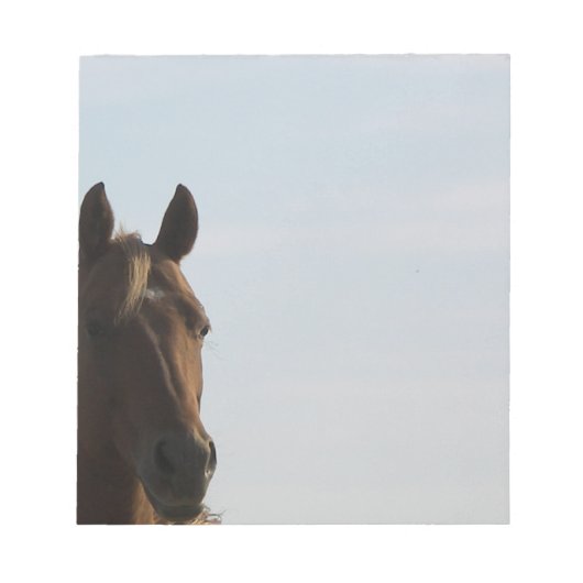 馬のノットパッド ノートパッド (正面)
