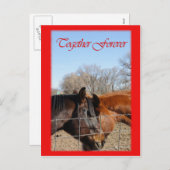 馬のバレンタインIII シーズンポストカード (正面/裏面)