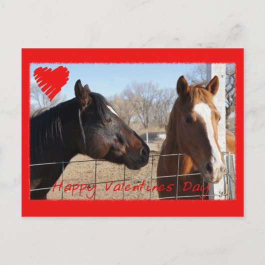 馬のバレンタインVI シーズンポストカード (正面)