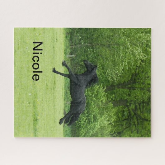 馬のパドックと農場の馬好き、名前をカスタムする ジグソーパズル (横)