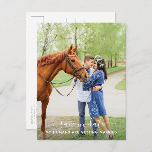 馬のパーソナライズされた写真ペットの結婚式の日付を保存 案内ポストカード (正面/裏面)