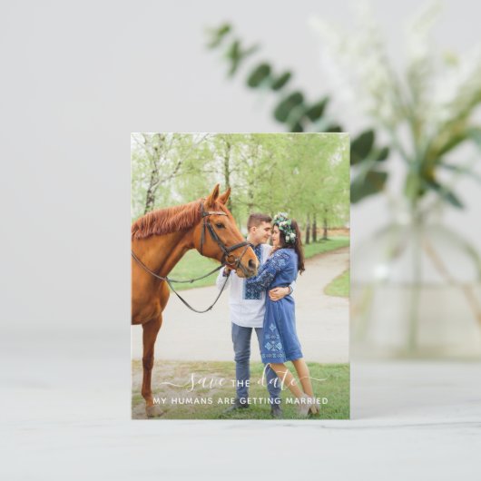馬のパーソナライズされた写真ペットの結婚式の日付を保存 案内ポストカード (スタンド正面)