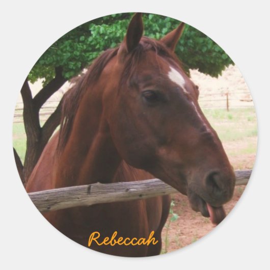 馬のパーソナライズ ラウンドシール (正面)