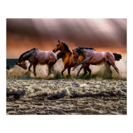 馬のビーチ ポスター