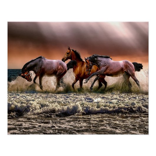 馬のビーチ ポスター (正面)