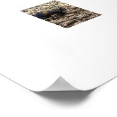 馬のビーチ ポスター (角)