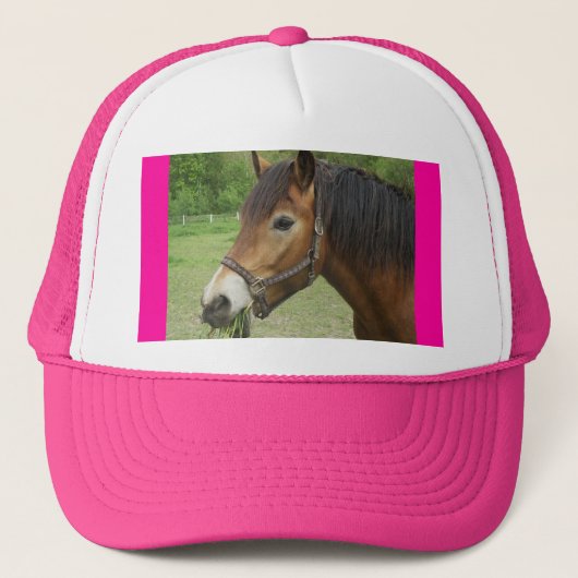 馬のピンクの帽子 キャップ (正面)